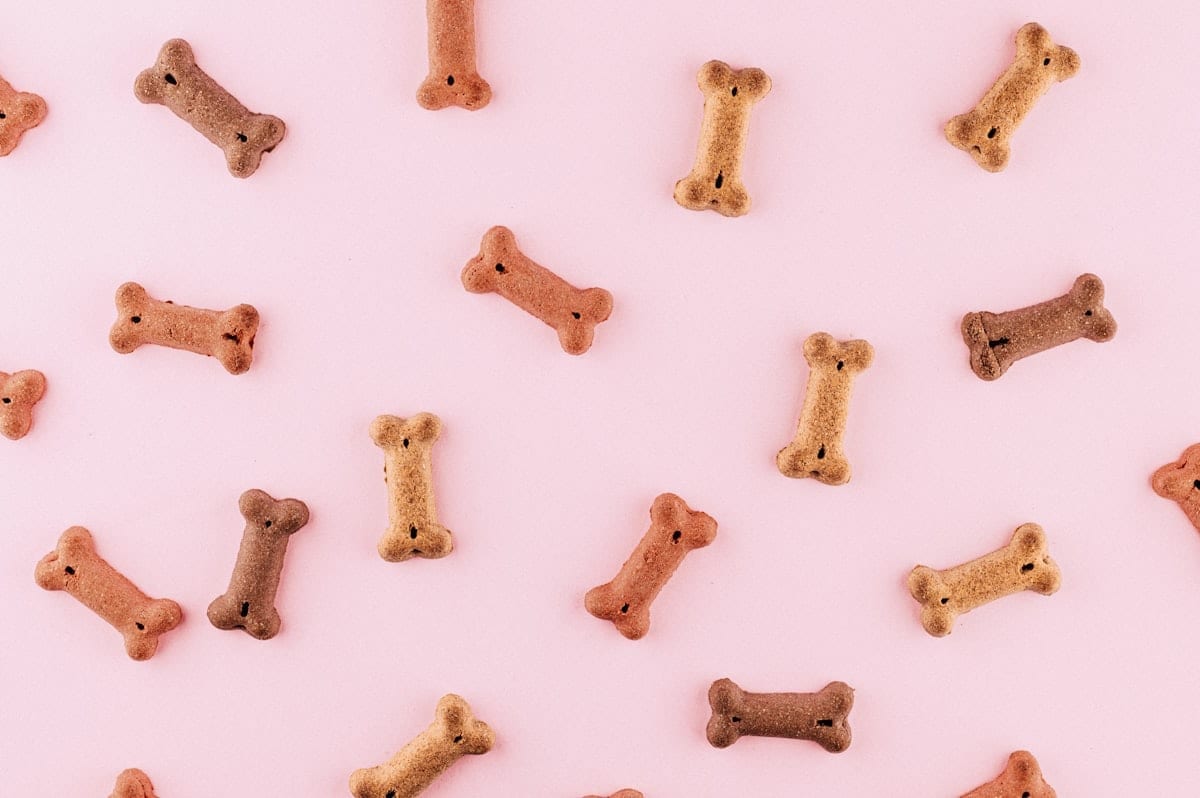 Several dog treat bags arranged on a table with biscuits and a tennis ball visible