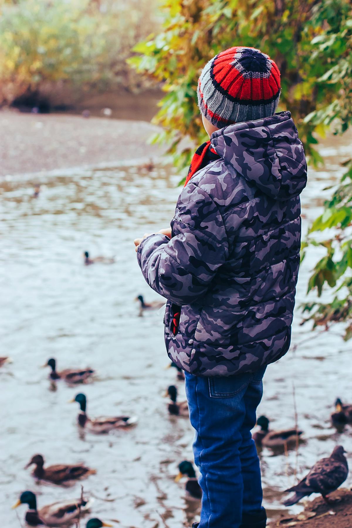 Backyard waterfowl and birds in an outdoor setting